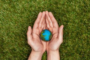 How Your Business Can Help The Environment