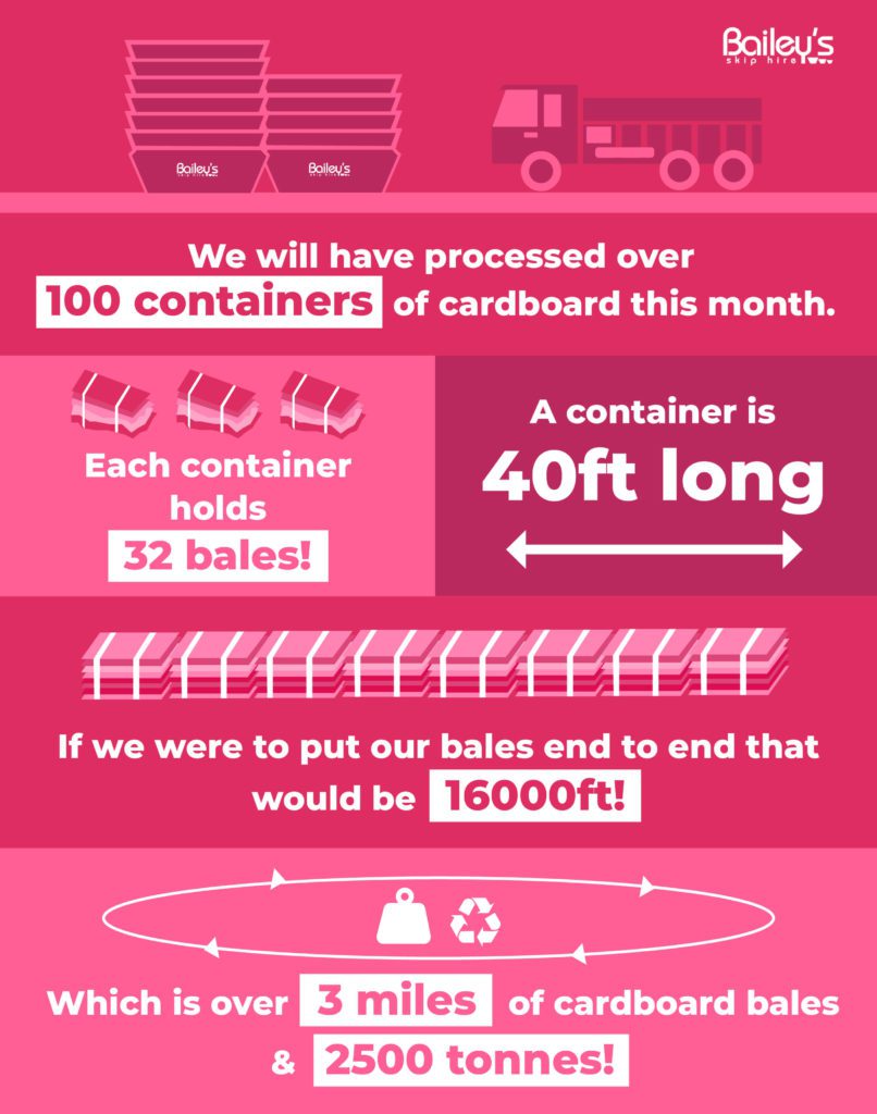 Bailey's Skip Hire Infographic