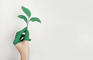 Why Is Sustainability Important In Business