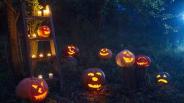 Have a Low-Waste Halloween with Baileys Skip Hire and Recycling